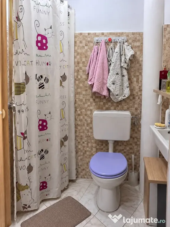 Apartament cu o camera, 22 mp utili, etaj 2, mobilat- Telegr - Timisoara (Timis)