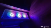 Pc Gaming + Monitor 