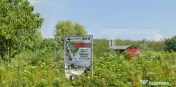Teren extravilan 2,2HA , Plopu,Front 250 ml