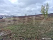 Casa noua cu teren de 948 mp, in Mociu 