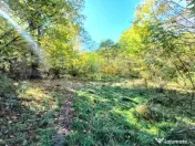 Teren intravilan 3.600 mp | Bascov | Utilitati | Potential i 