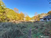 Teren intravilan 3.600 mp | Bascov | Utilitati | Potential i 