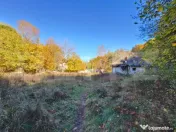 Teren intravilan 3.600 mp | Bascov | Utilitati | Potential i 