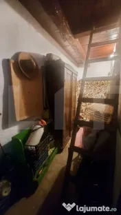 CASĂ CU FARMEC RUSTIC, RENOVATĂ ÎN 2024, CU GRĂDINĂ ??