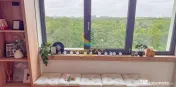 Vanzare Apartament 2 Camere Mobilat si Utilat- Parc Tineretului! 