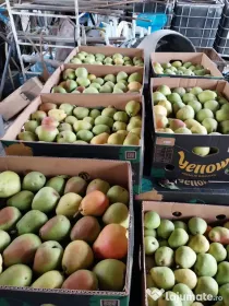 Vand pere Lukas pentru consum