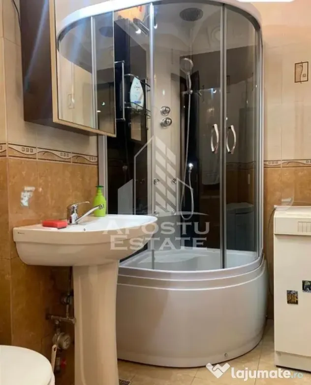 Apartament cu 1 camera de închiriat, centrala proprie, Take Ionescu - Timisoara (Timis)