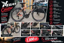 Pegas Calator bicicleta de touring