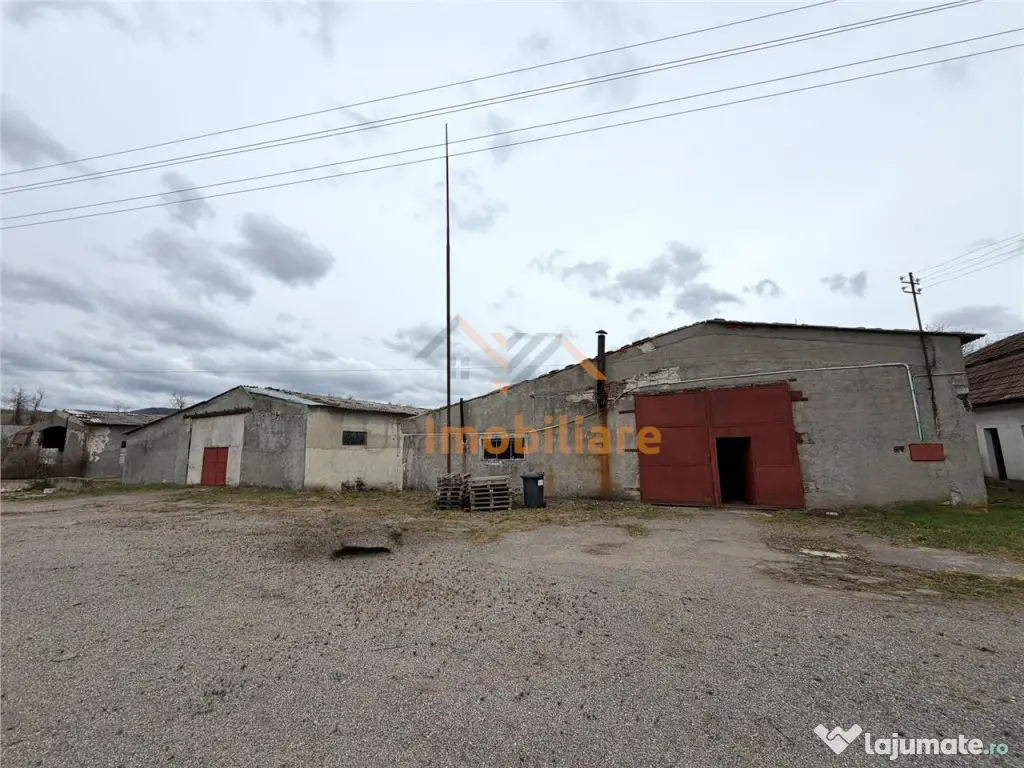 HALE INDUSTRIALE | CLADIRE BIROURI | TEREN 7000 MP | GHEGHIE - Gheghie (Bihor)