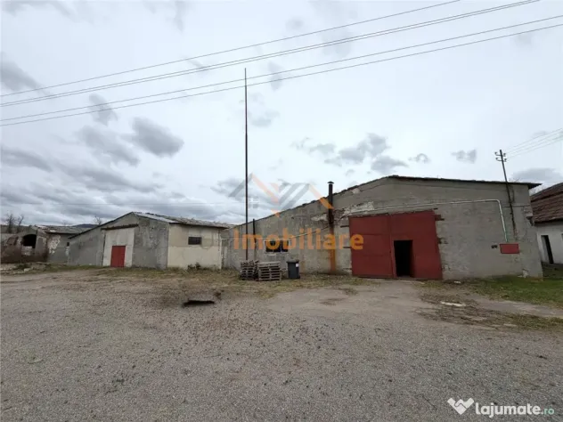 HALE INDUSTRIALE | CLADIRE BIROURI | TEREN 7000 MP | GHEGHIE - Gheghie (Bihor)