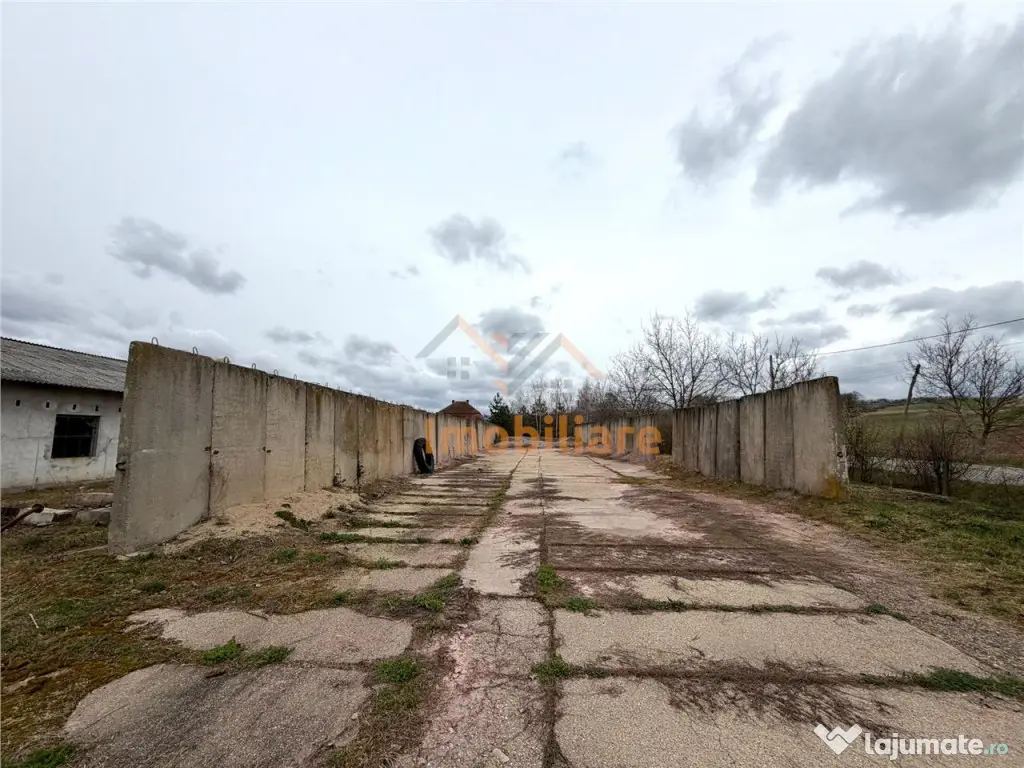 HALE INDUSTRIALE | CLADIRE BIROURI | TEREN 7000 MP | GHEGHIE - Gheghie (Bihor)