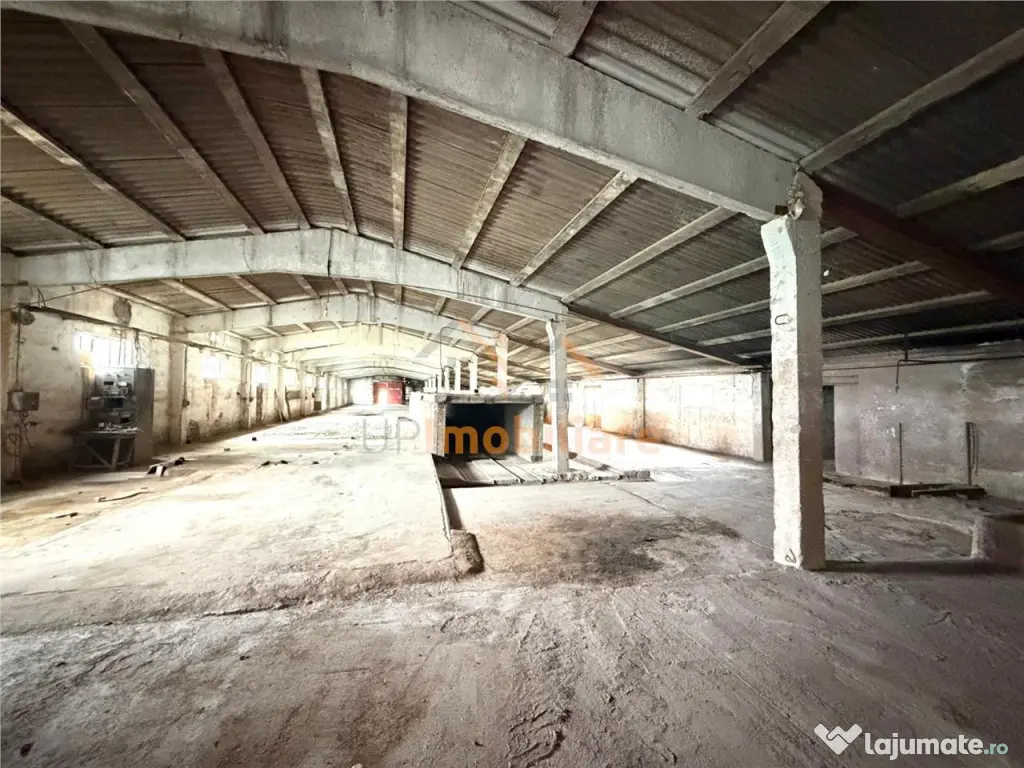 HALE INDUSTRIALE | CLADIRE BIROURI | TEREN 7000 MP | GHEGHIE - Gheghie (Bihor)