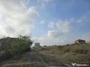 Vanzari terenuri in Palazu Mare 