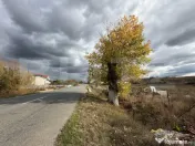 Teren intravilan, strada principala, 2339 mp, Predesti 