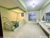 Inchiriere Casa P+2E+M Bascov Arges 