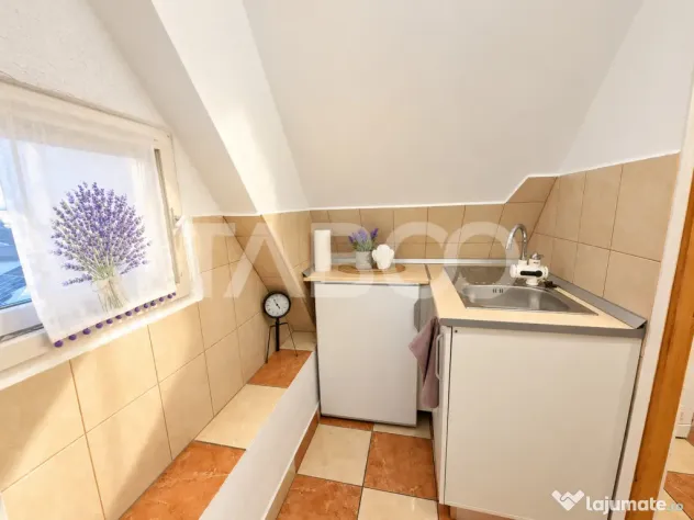 Garsoniera de vanzare - Mica la suprafata, dar cu potential - Sibiu (Sibiu)