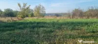 Teren intravilan, 2054 mp, zona Nisipoasa