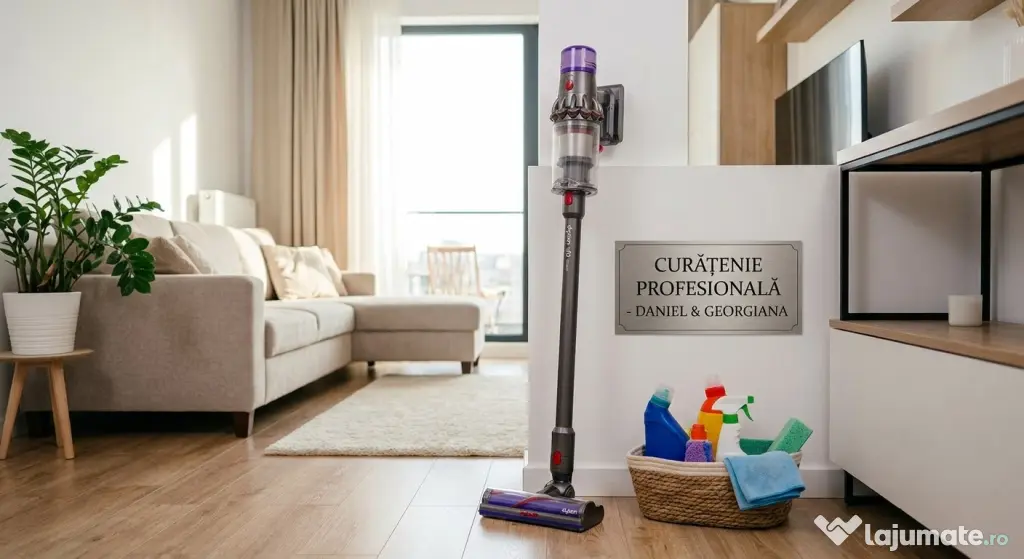 Servicii de curățenie pentru case și apartamente – Echipă de încredere (Cuplu)