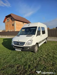 Autoturism Mercedes-Benz Sprinter 319 CDI, 2009