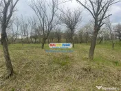 Vindem teren 2200 mp in Calinesti-Vranesti 
