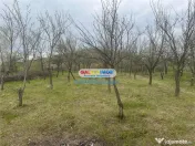 Vindem teren 2200 mp in Calinesti-Vranesti 