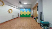 Vila premium 7 camere de inchiriat Herastrau 