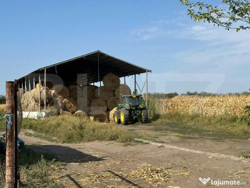 Teren intravilan cu doua hale care fac parte dintr-o ferma - Tecuci (Galati)