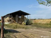 Teren intravilan cu doua hale care fac parte dintr-o ferma