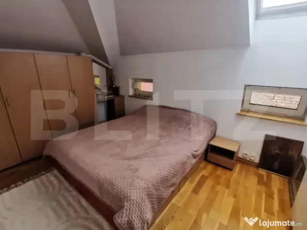 Apartament 2 camere, 50 mp, zona Parcul Central - Cluj-Napoca (Cluj)