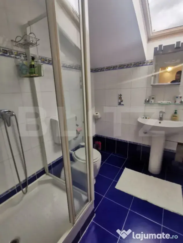 Apartament 2 camere, 50 mp, zona Parcul Central - Cluj-Napoca (Cluj)