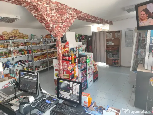 Teren + magazin în functiune - Teghes (Bucuresti-Ilfov)