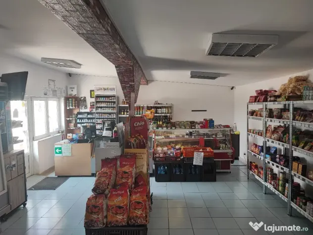 Teren + magazin în functiune - Teghes (Bucuresti-Ilfov)
