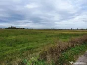 PLOIESTI zona de Centura - intravilan industrial 23500 mp la 