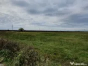 PLOIESTI zona de Centura - intravilan industrial 23500 mp la 