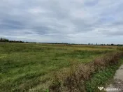 PLOIESTI zona de Centura - intravilan industrial 23500 mp la 