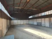 BLEJOI - hale intre 200 mp si 1000 mp la 3 euro/mp/luna + TV 