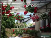 Casa in Deva, ultracentrala, PRETABILA SI PENTRU CLINICA 