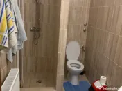 Spatii industriale si edilitare 