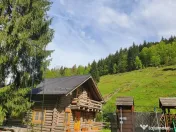 Complex turistic Arieseni - ID : RH-34331-property 