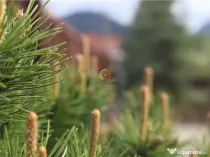 Constructii si teren intravilan18.000 mp