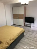 De inchiriat apartament o camera Blascovici