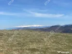 Teren intravilan 3000 mp cu utilitati in Paltinis judet Sibi