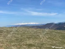 Teren intravilan 3000 mp cu utilitati in Paltinis judet Sibi