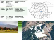 Teren Intravilan 80.000mp 3 Brazi,Predeal Comision 0 