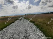 Teren Intravilan in Avrig zona Valea Avrigului 8900 metri 