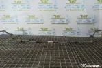 Bara stabilizatoare spate 1k0511305cl Volkswagen VW Golf 5 [2003 - 200