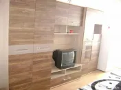 Garsoniera de inchiriat zona Medicinei 