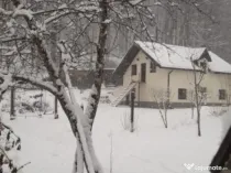 Cabana 4 camere zona Valea Avrigului