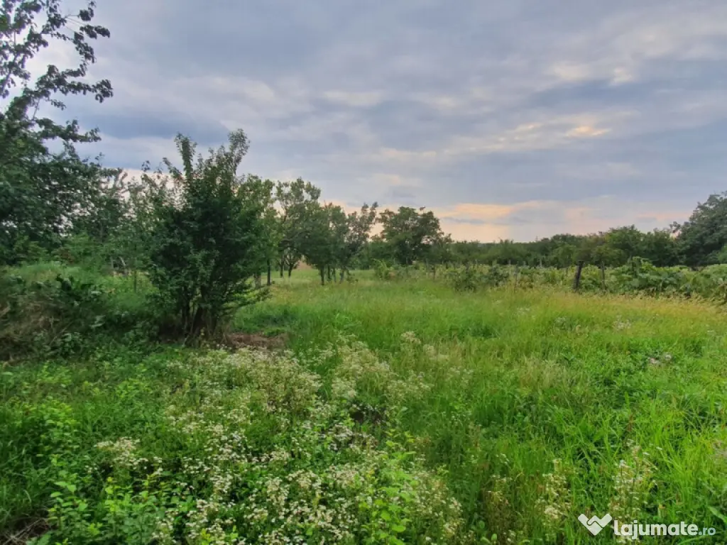 PAULESTI z.Cocosesti- zona buna, P+1E la rosu la 100000 eu