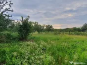 PAULESTI z.Cocosesti- zona buna, P+1E la rosu la 100000 eu 